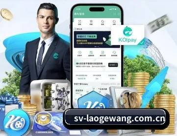 老哥网 APP